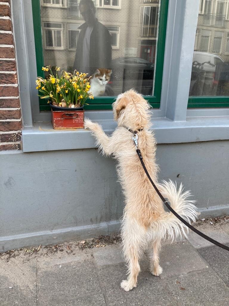 8A6687EF-1AFA-45D3-9B4A-0940EF37D493