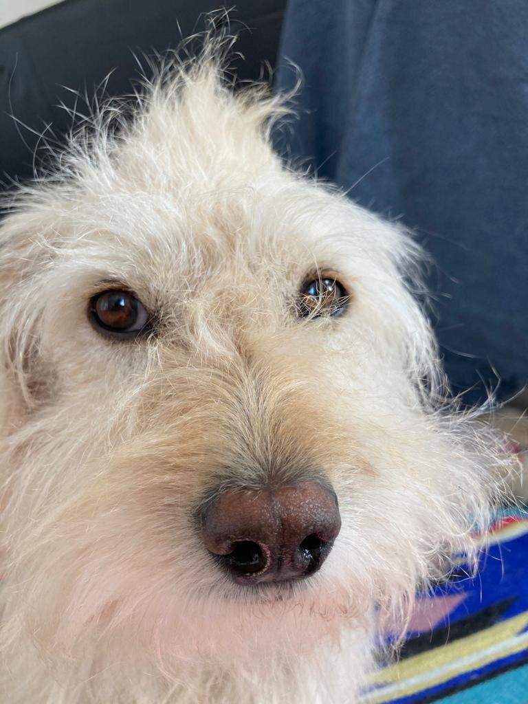 E6B62BF4-DBBF-4B7E-B415-EA1601BA5E7C