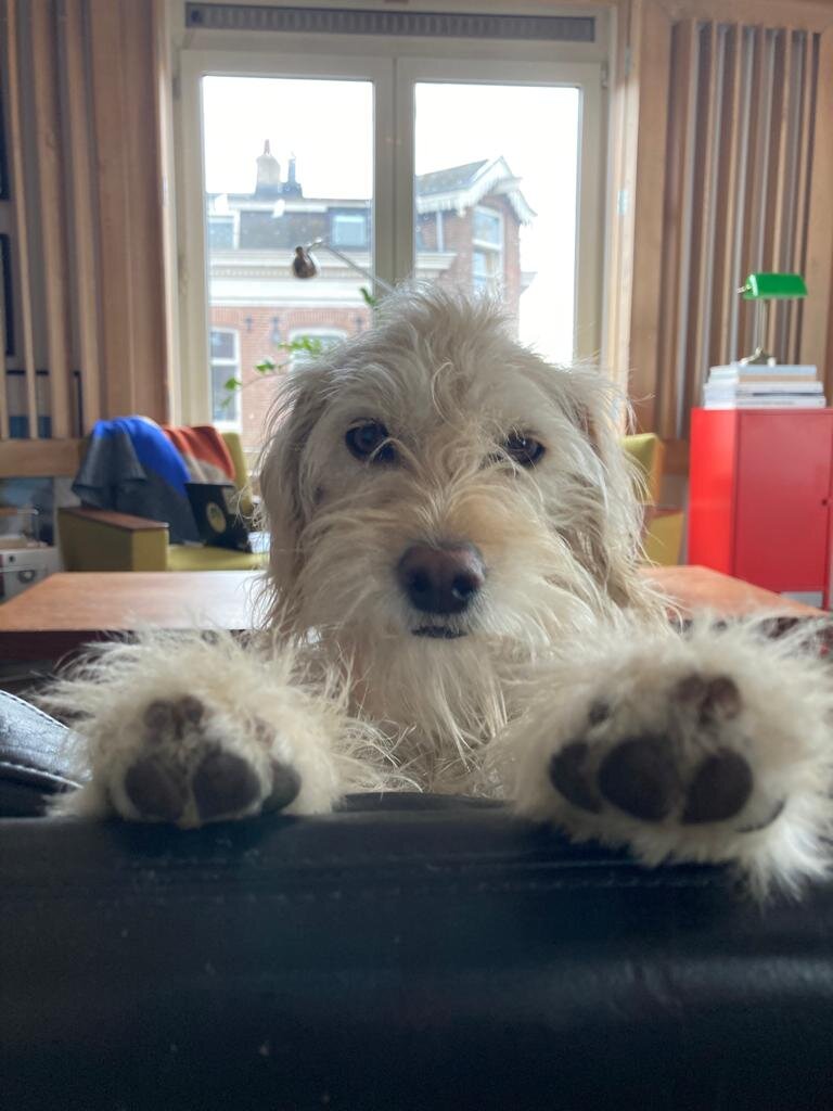 E2811150-137F-4499-8880-5EE246821106