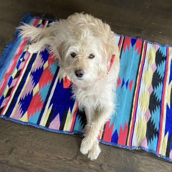 373053E4-5AF4-4615-AAB9-120978A14D53