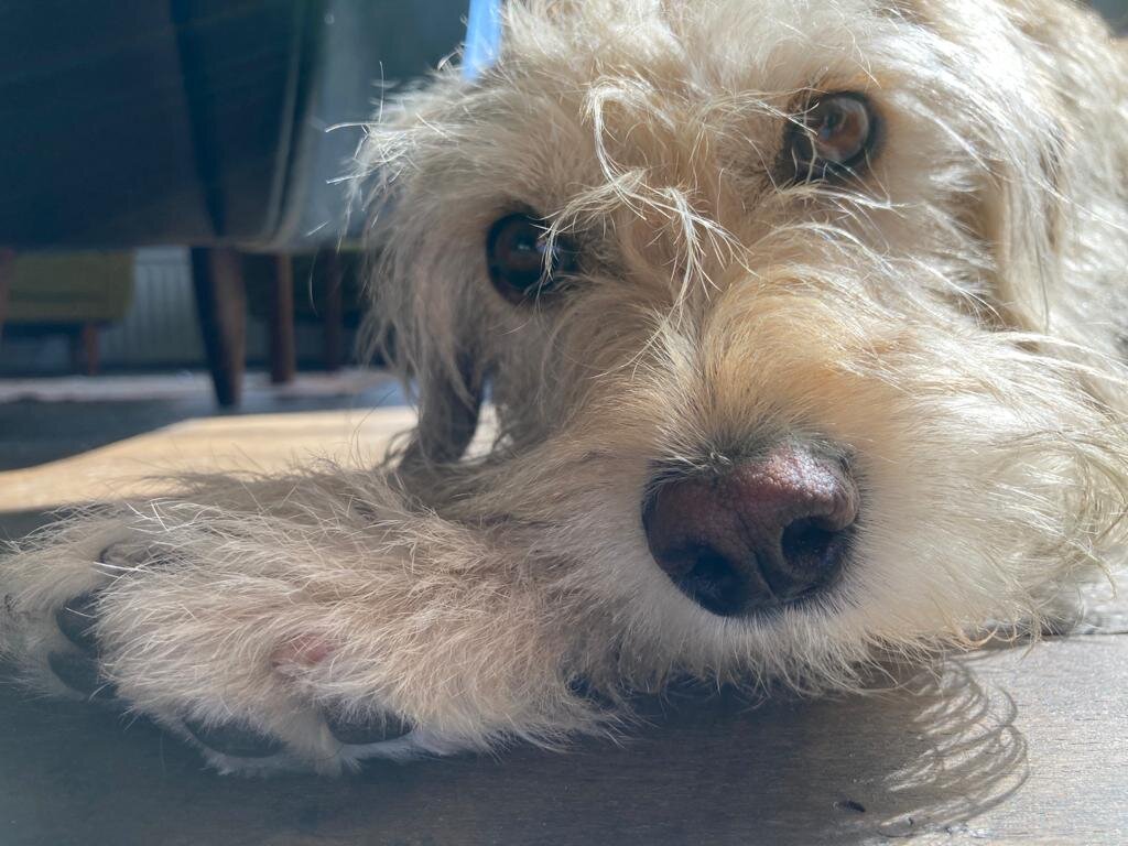 481C251D-253E-491C-9E9D-7AC638E94DCD