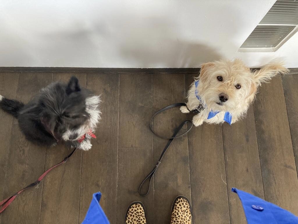 79B3B20F-1AAC-419B-A17F-BD605EE02D80