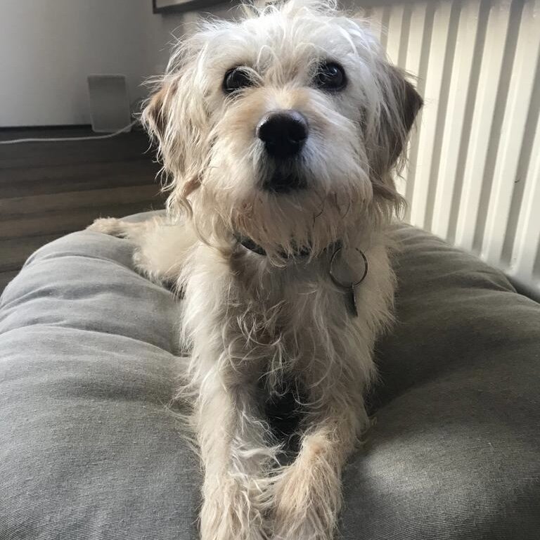 1871A70E-51D3-48EF-824A-2EA236360024