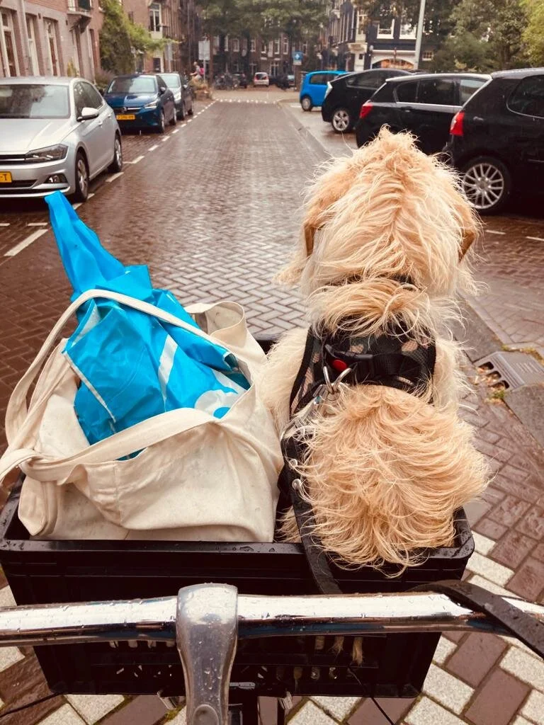 4333F58B-F459-436F-81F7-9CBD44472973