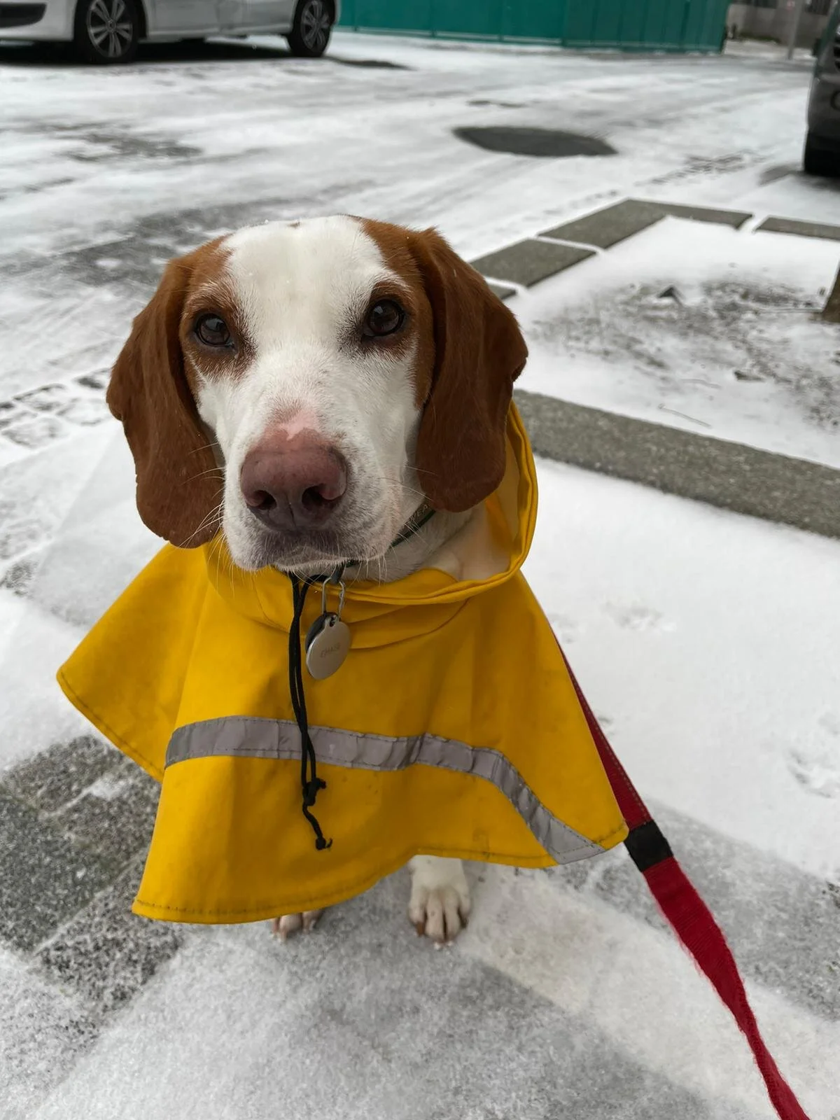 51A3722C-1301-46AB-B913-2BAB87236C52