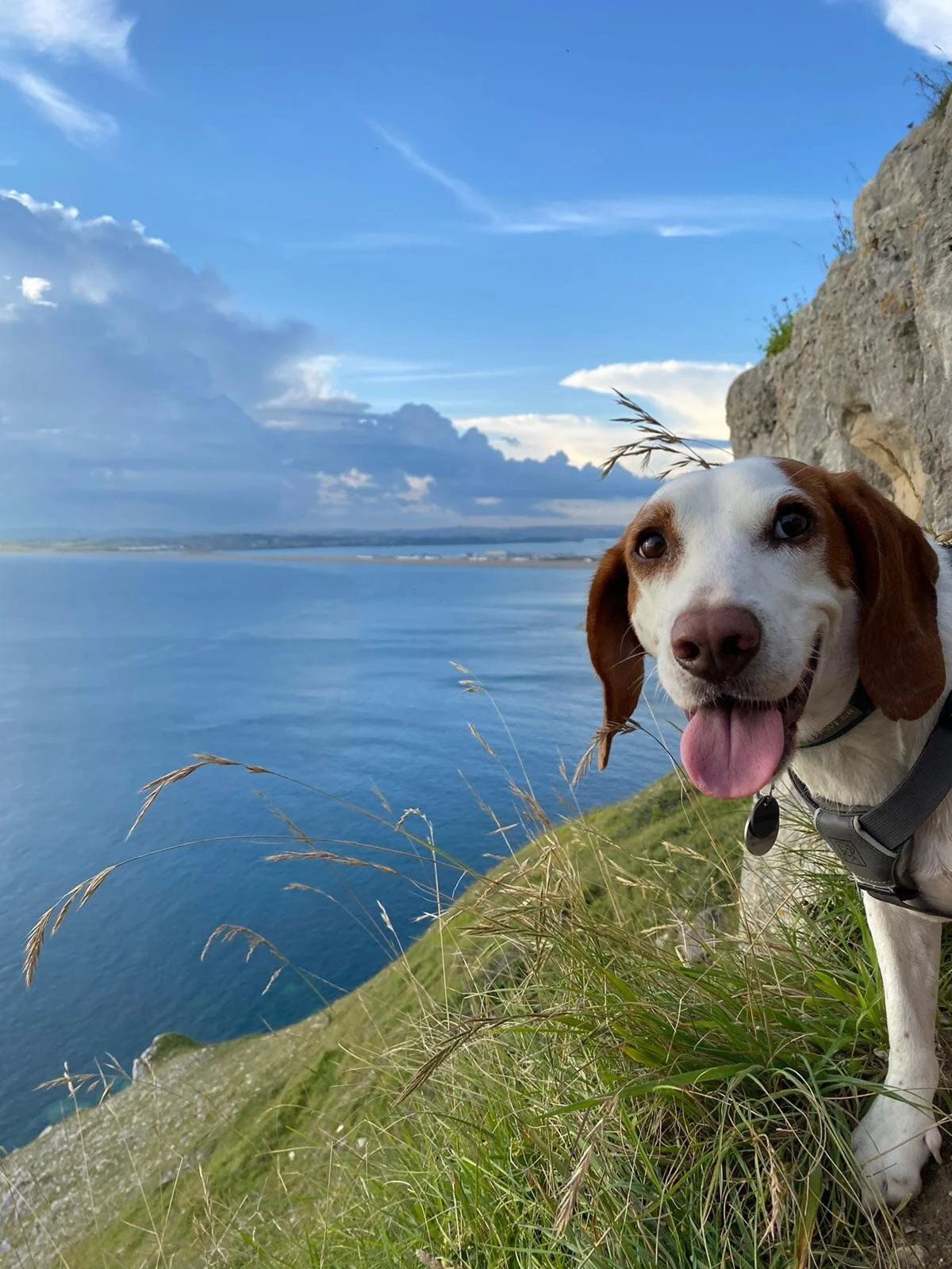 1CB51F94-56E9-46AE-8F58-FE1F31C6334C