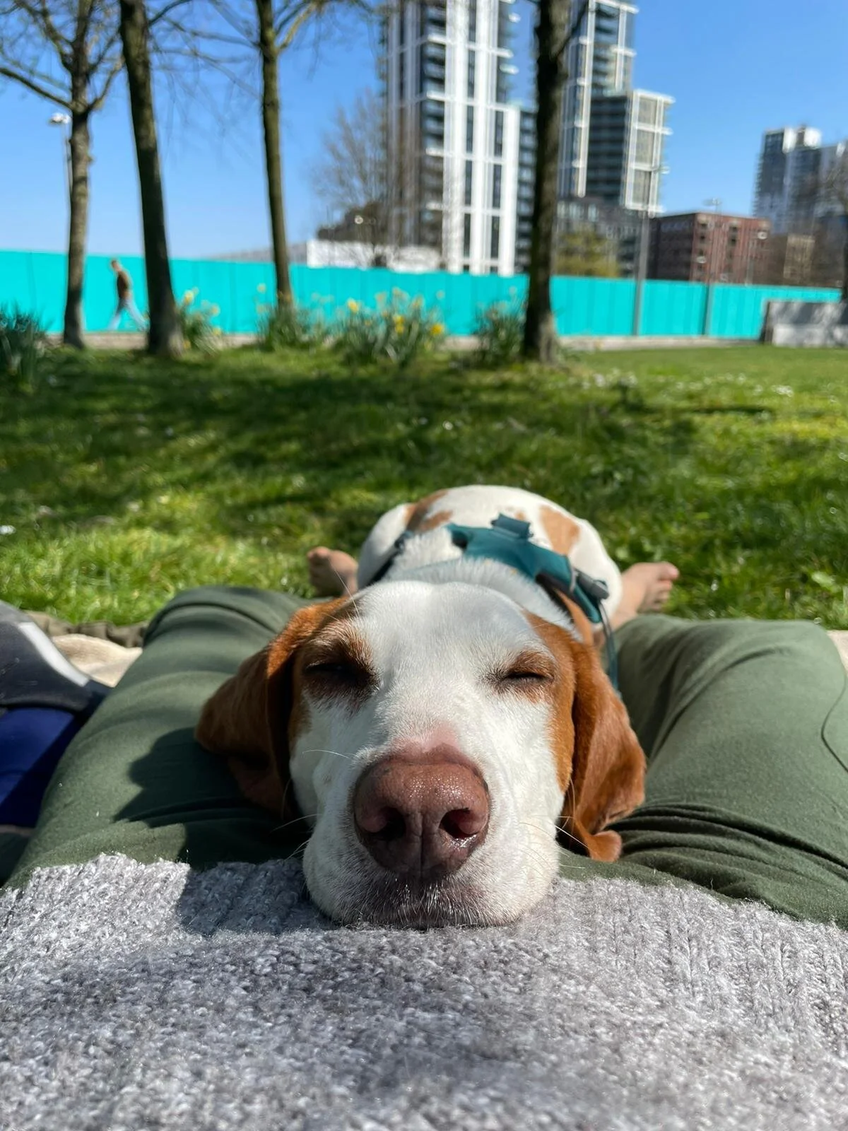 09D53F19-59B2-4985-A14F-153421F4C4E7