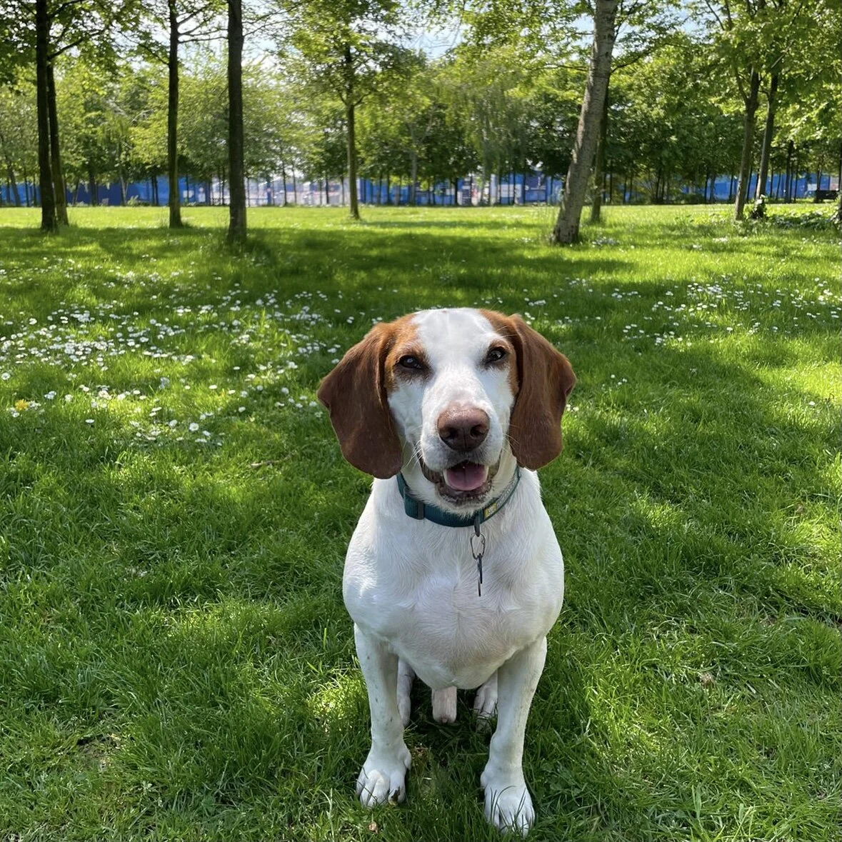 057A86B9-D6BA-4152-B8A2-E667D43183A1