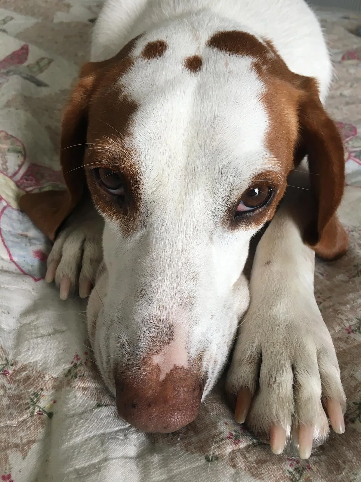 93200AE1-AE8A-43D2-8C9F-05AB46BF5CCD