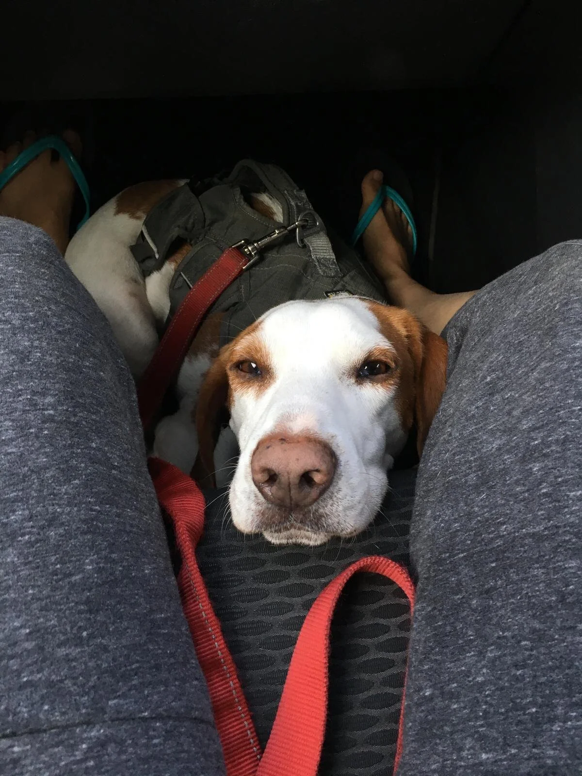 2646EA85-801B-4C78-8A63-90BE84D7711D