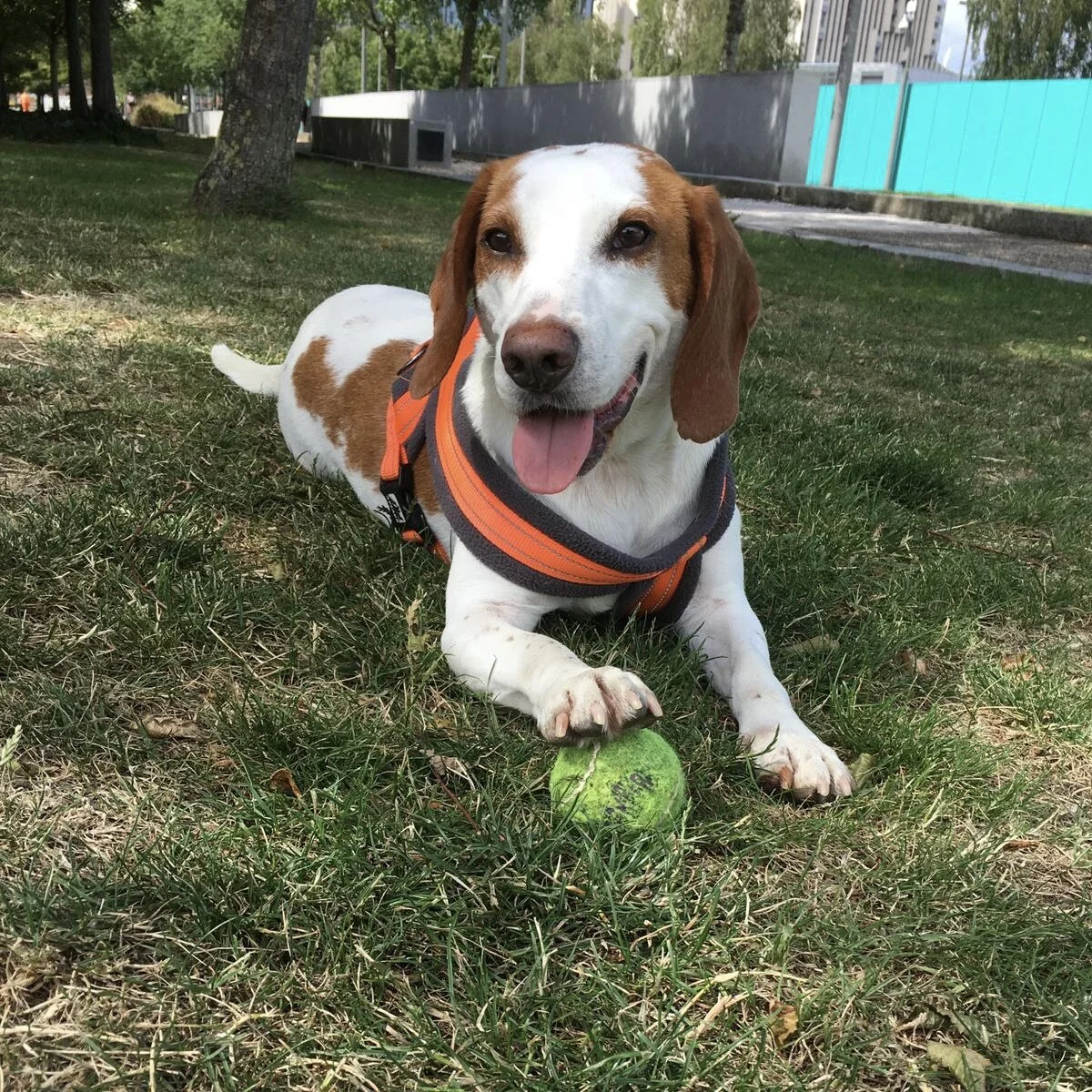 ED0C936E-B3F8-462C-8203-82C8BE5844A4