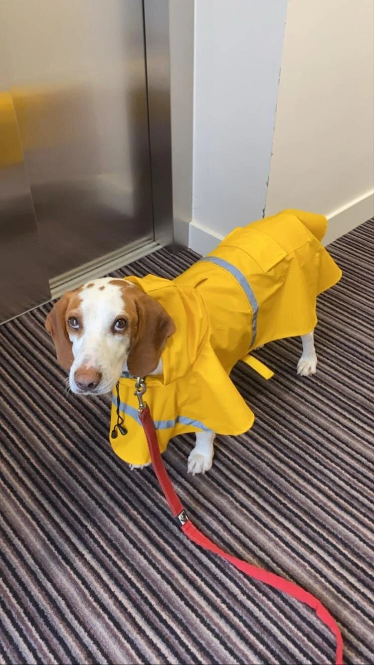 1F4CB30B-CDDB-458E-9C54-7CC576225BBC