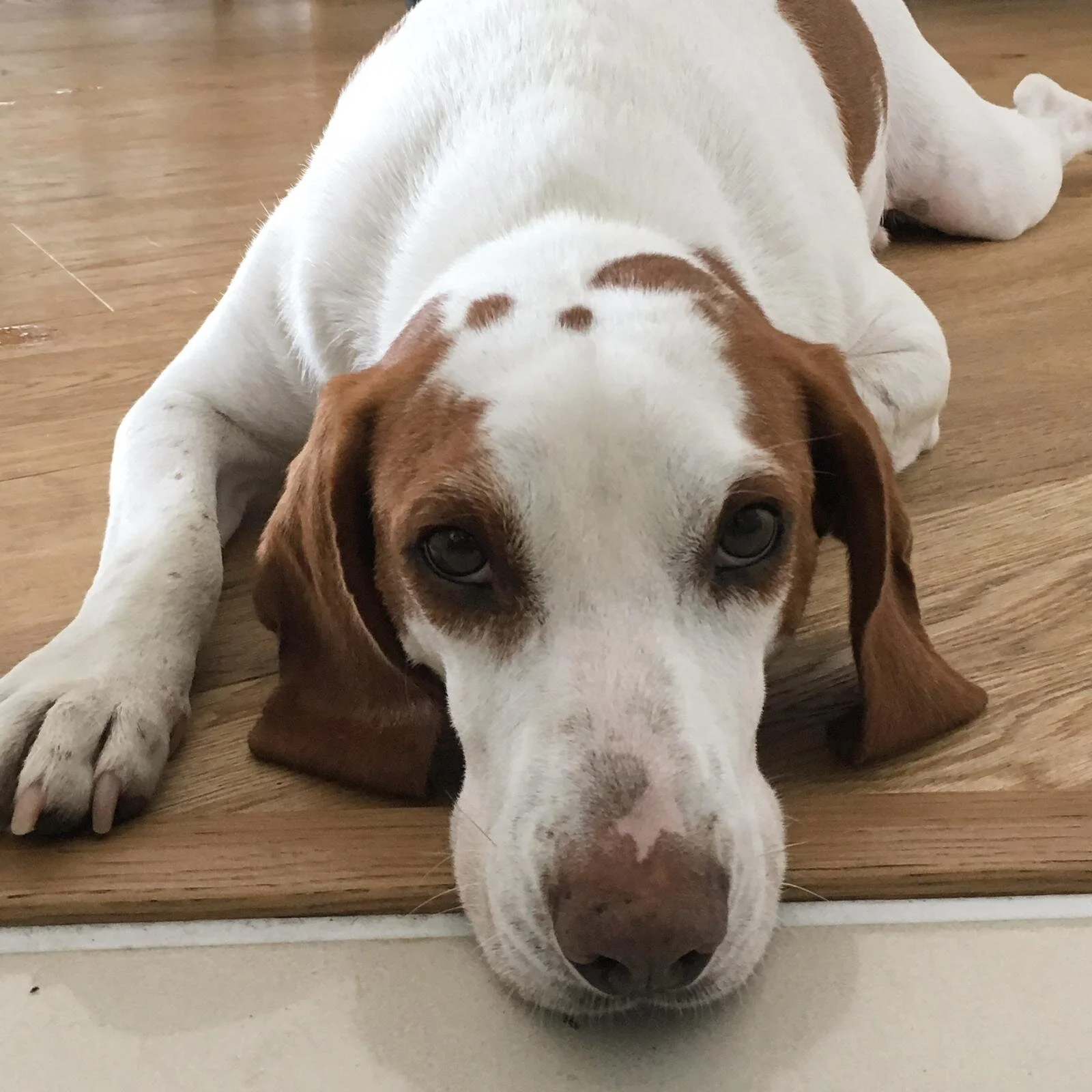 0F1A770F-9D2E-4FCB-B2B9-99D02E6DED28