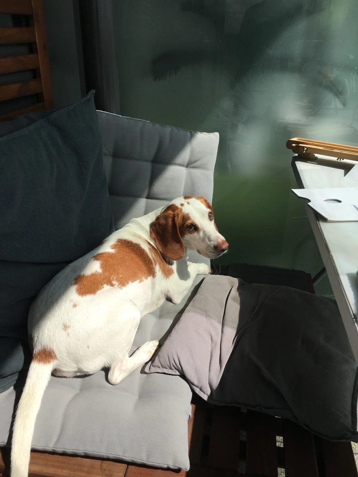 93383427-2FB3-4BB1-85F5-C6D564BAD4E6