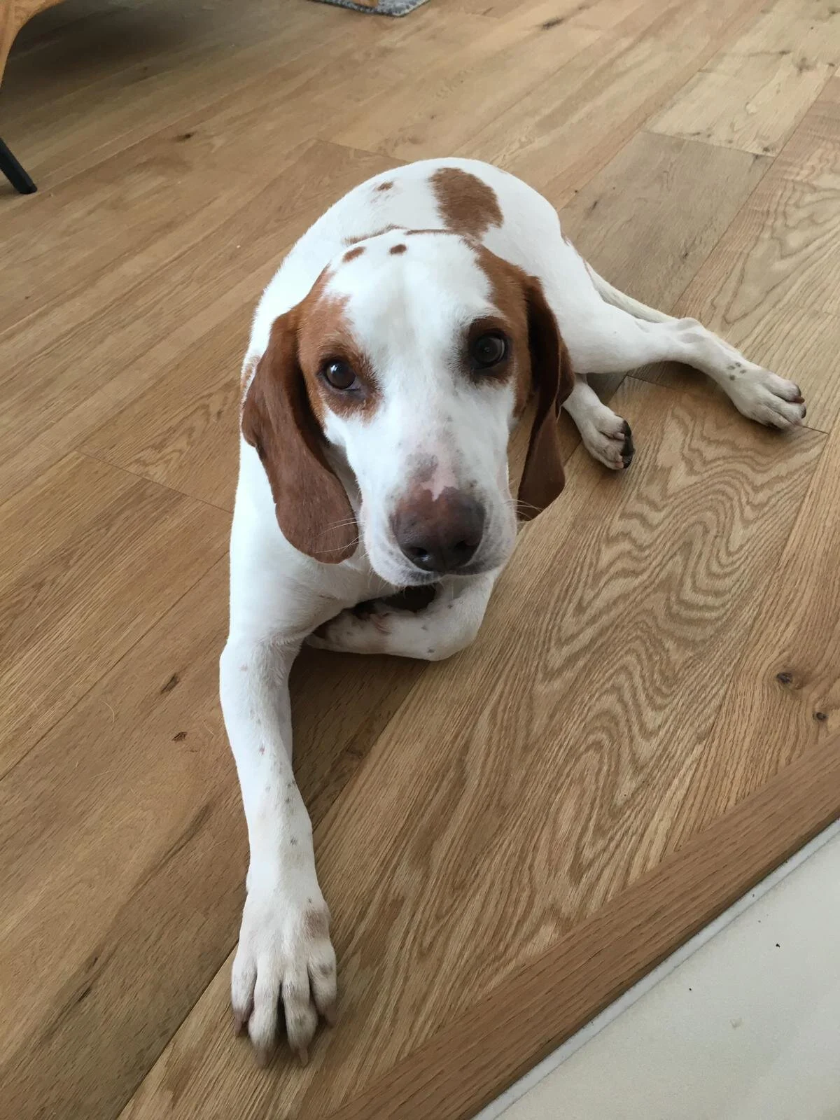 2822C6B9-B095-4861-94CB-E1960668185E