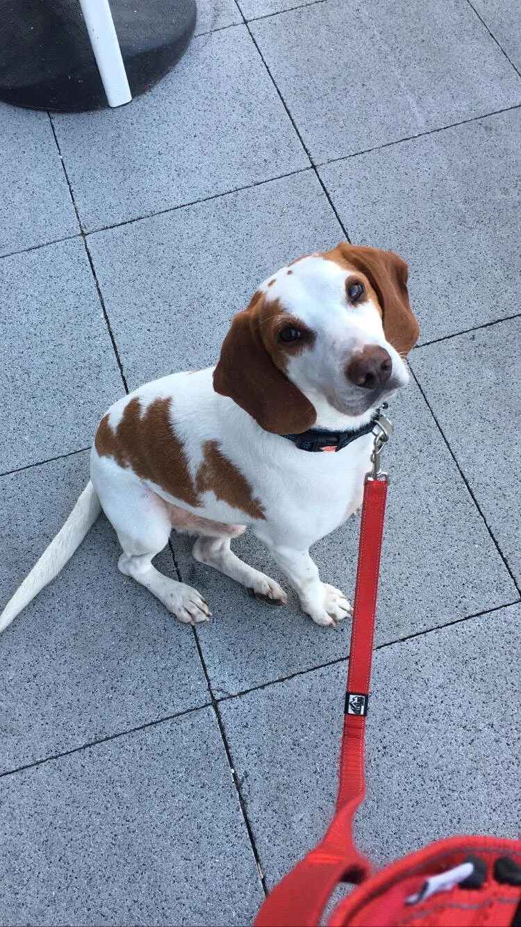 0A2981DE-2788-42F8-AC17-E57C3BFAAD52