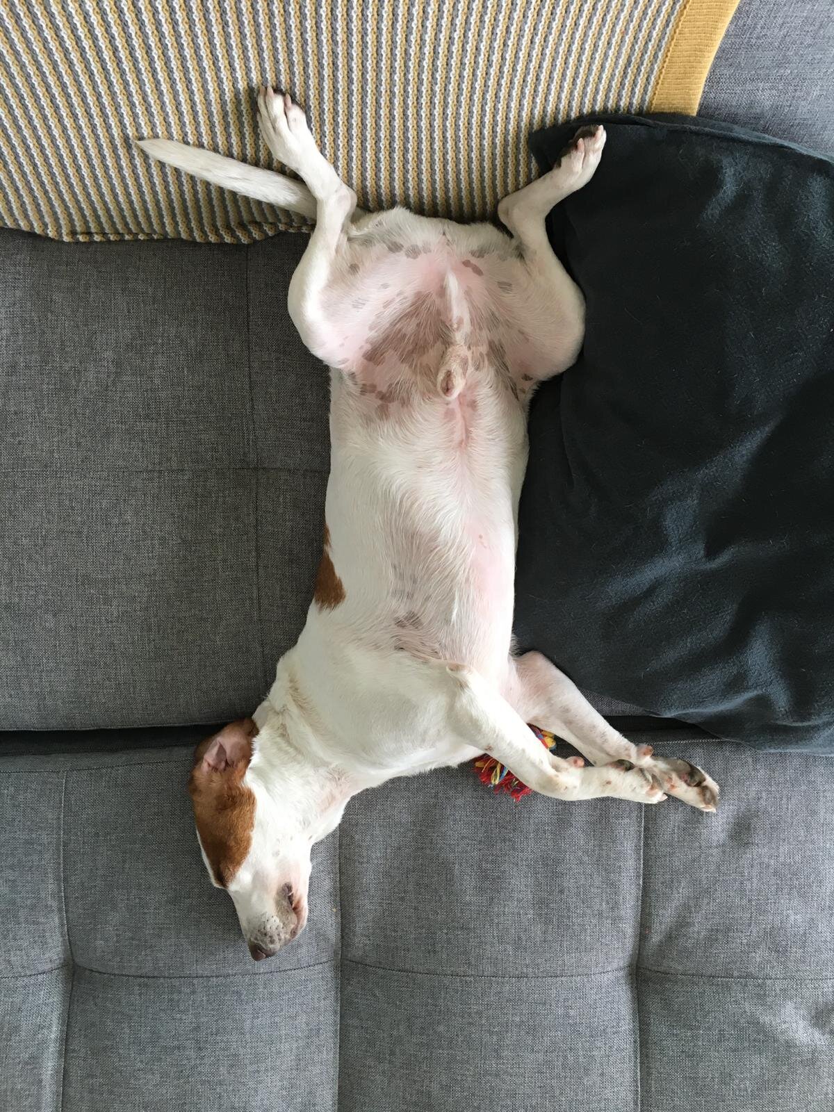 79A5E9A3-AD8E-4F6D-8F66-BA98F8199809