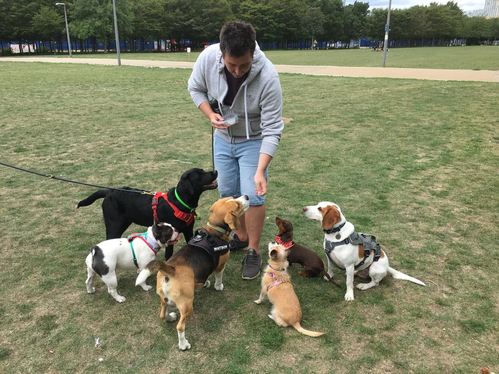 E62C447F-427C-4B89-B2A3-60565E5E1BC6