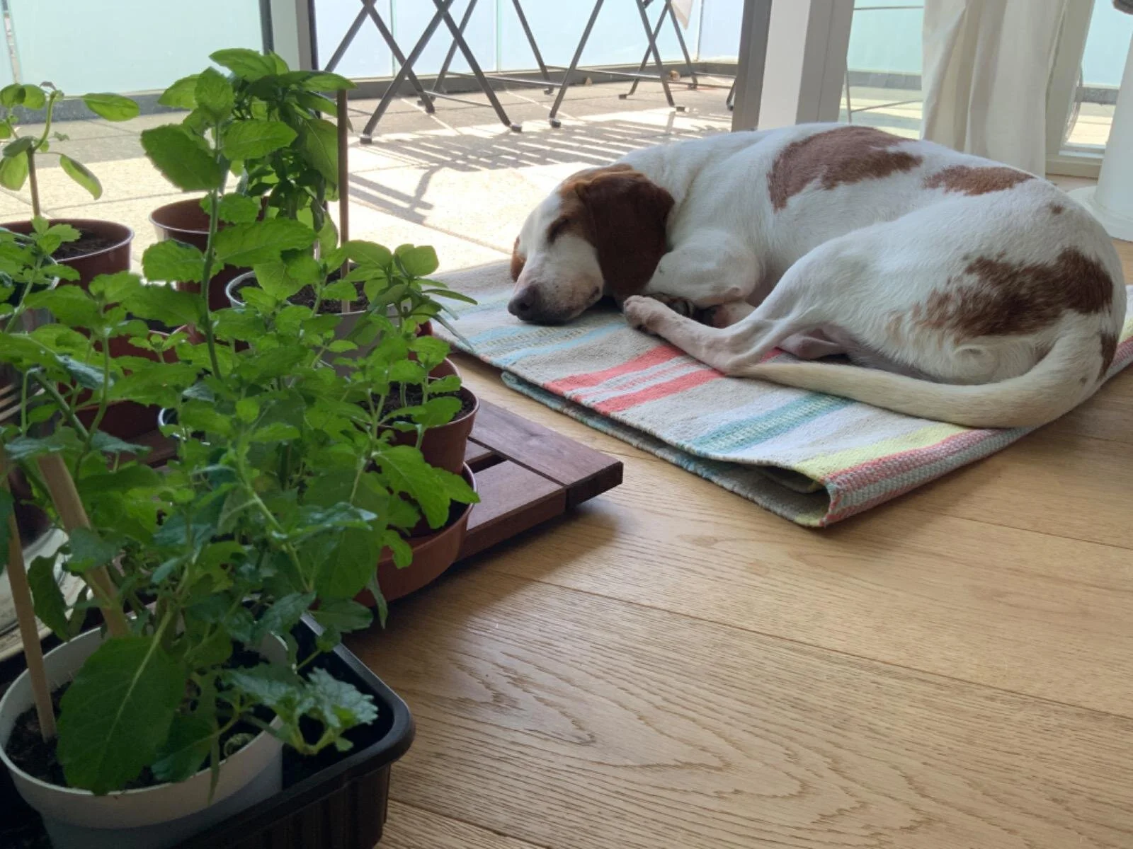 43F5A364-214C-43BA-82D3-D3A932CE12C5