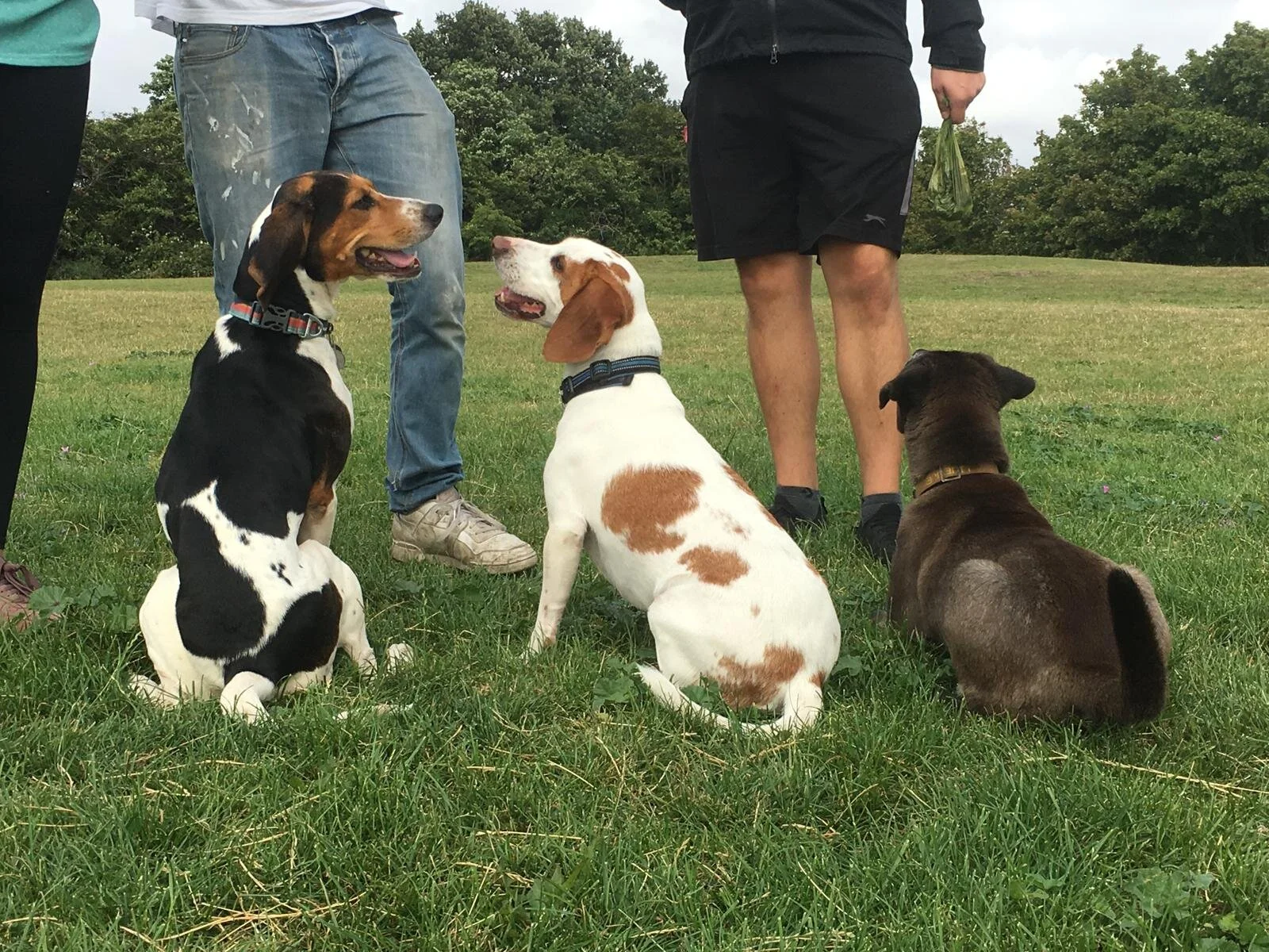 7FCAAB7C-09DF-4DC9-A4E5-D0B589039712