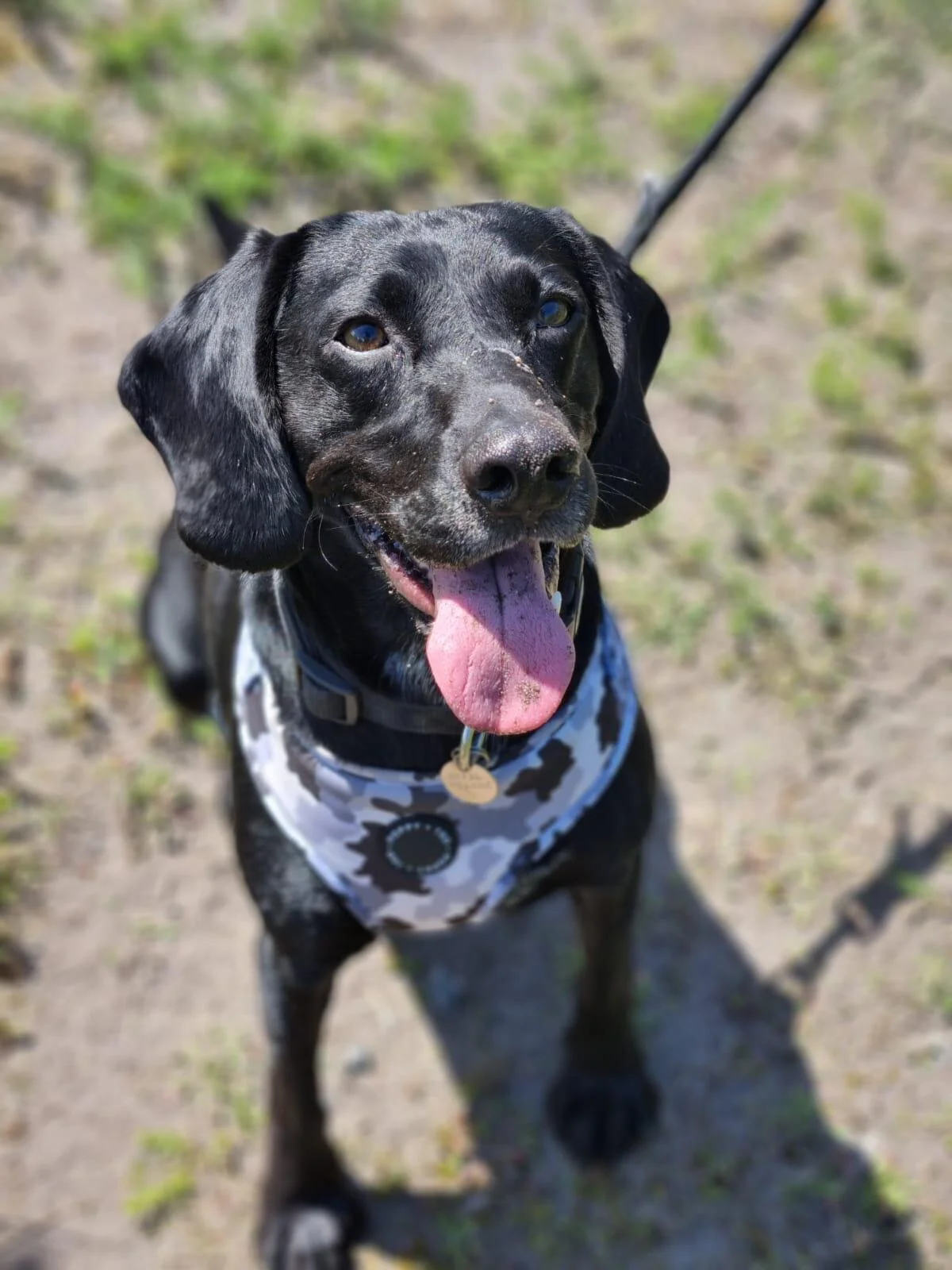 C71EBD25-9A12-4023-B19A-98E40228946E