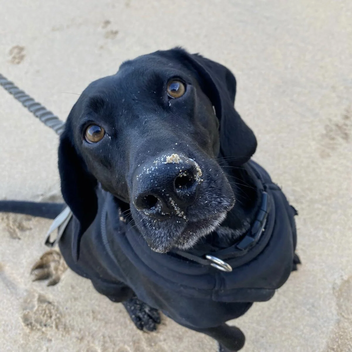 9433DF57-03C4-49D7-87F6-198139D53F60