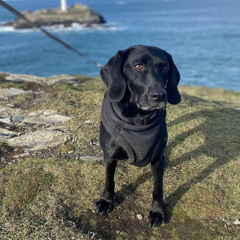 3F7B6E45-4573-4392-9D73-83A5C78EB7E8