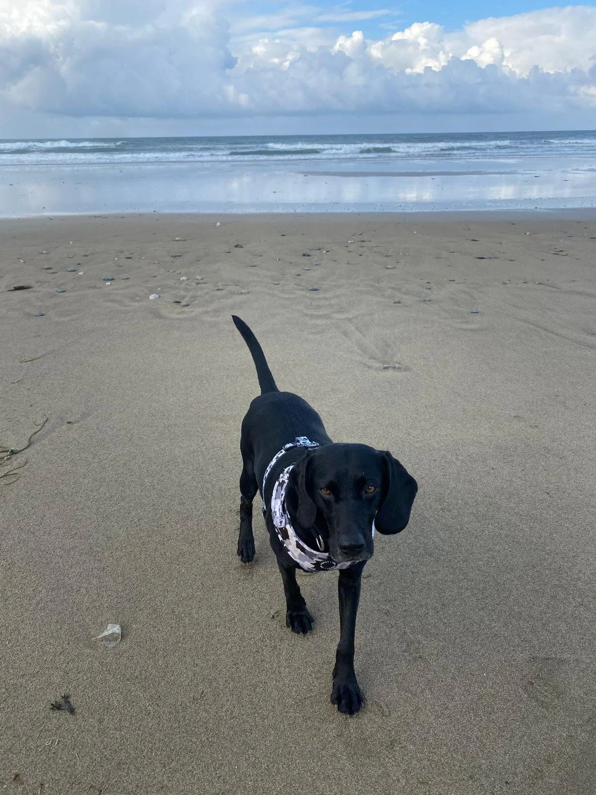 4A492AC9-B82F-4C28-AD3C-BBD2A3C8C10E