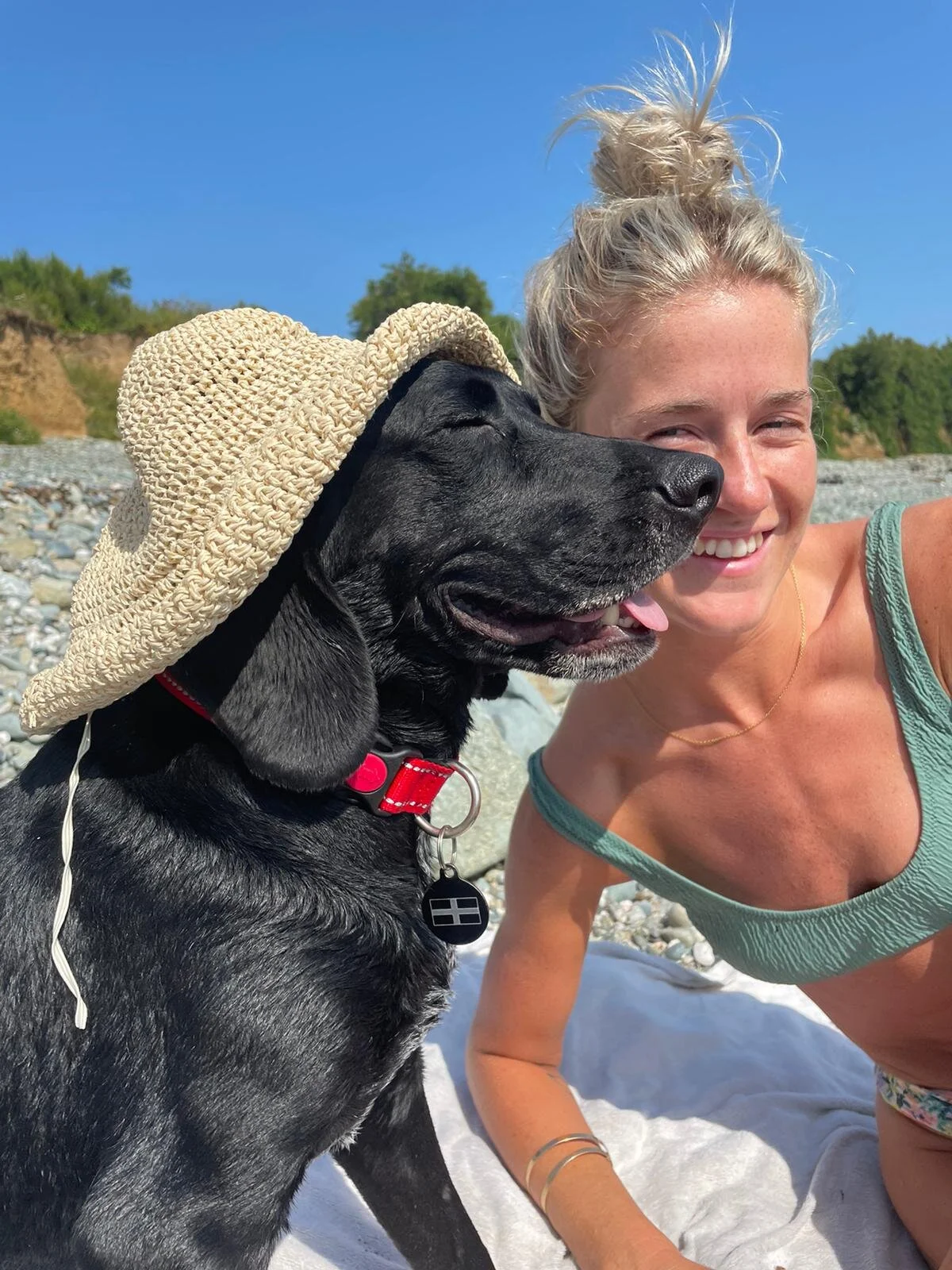 00D30FF8-10F5-4B4D-801B-C9BB0751FF57