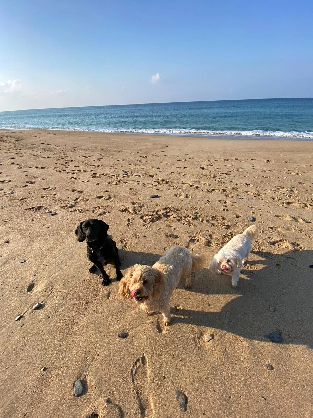 5AE4D3A2-7848-4DEE-8D5C-35E2CCD36367