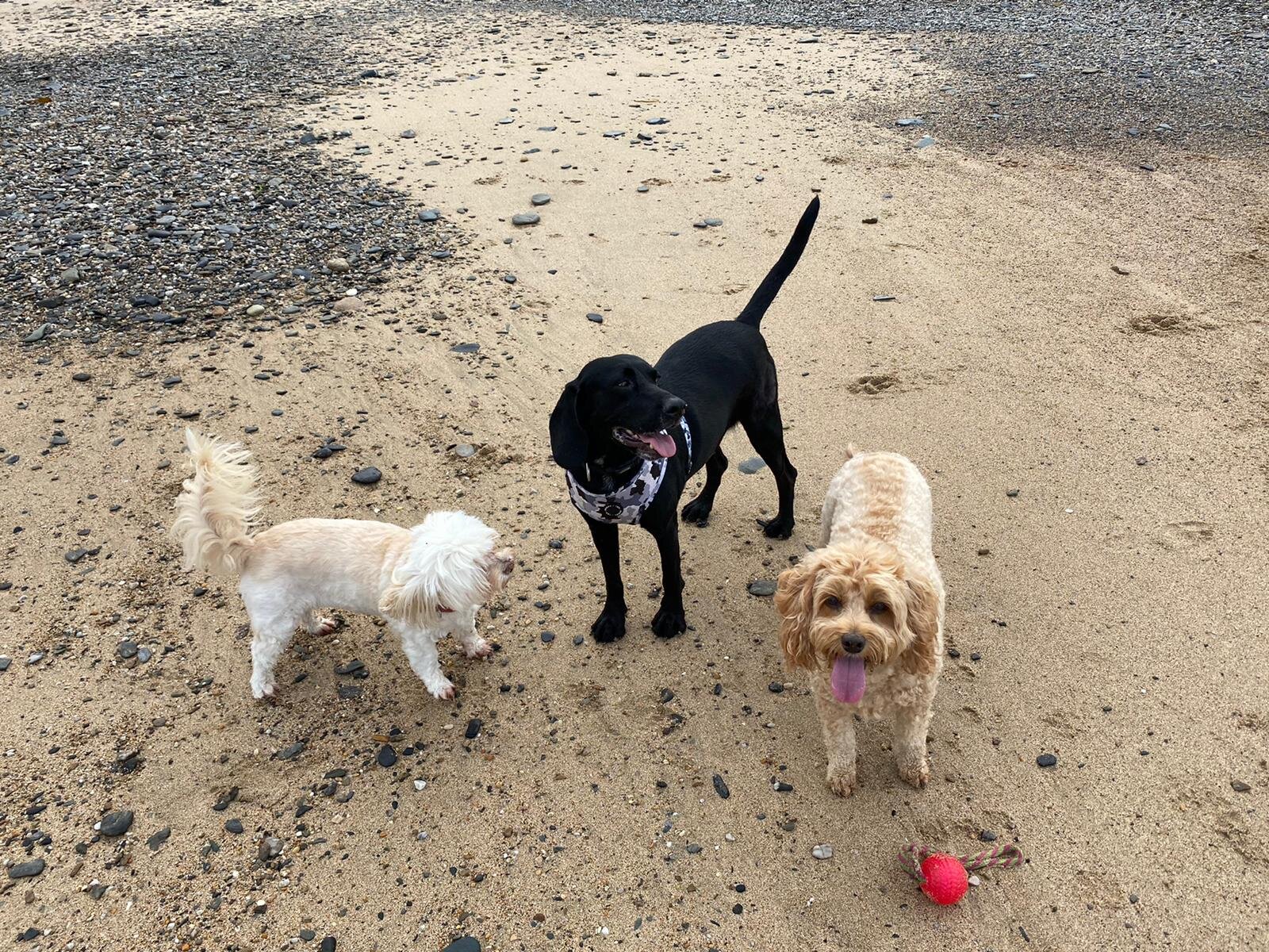 B885F553-0036-42EB-BA6B-1B00A765CC8A