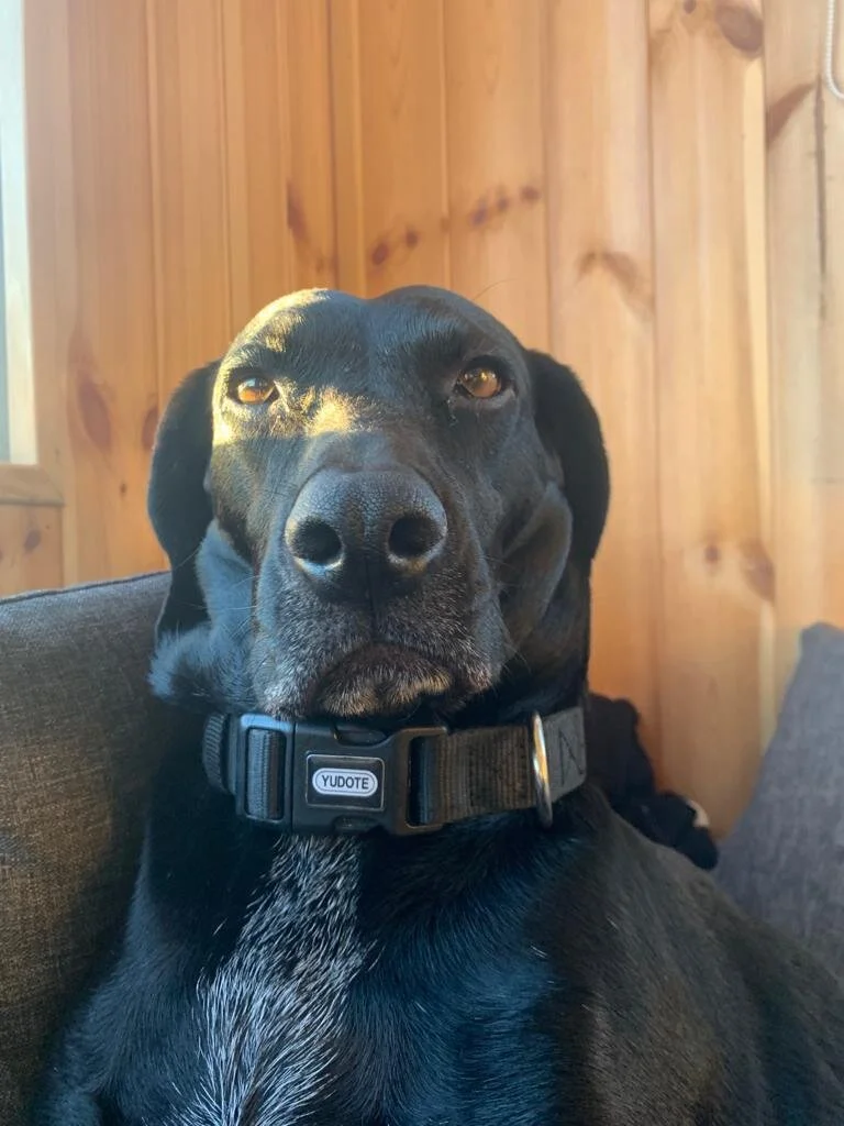 18988768-9694-4E9D-8EDC-A8BBEFEDDDFB