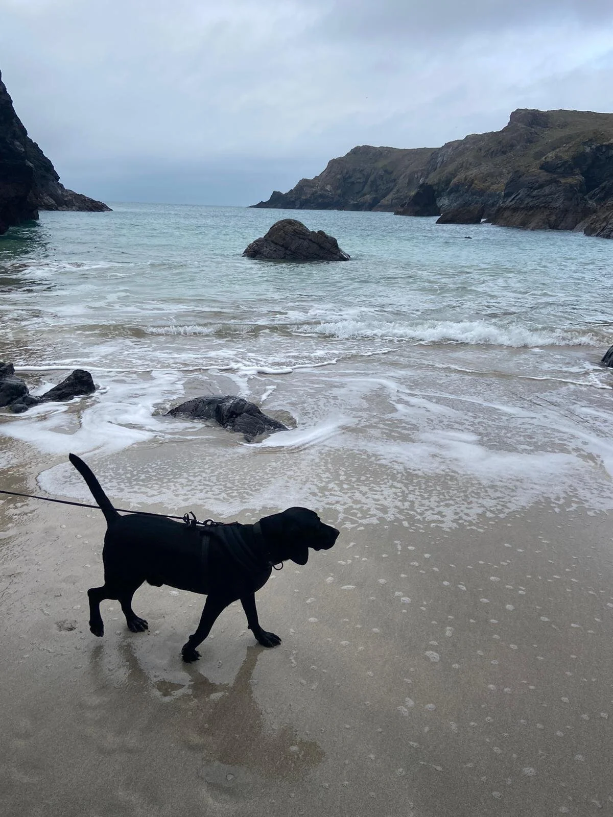 061B6803-E2F1-4BCD-B225-F5D936F0D49A