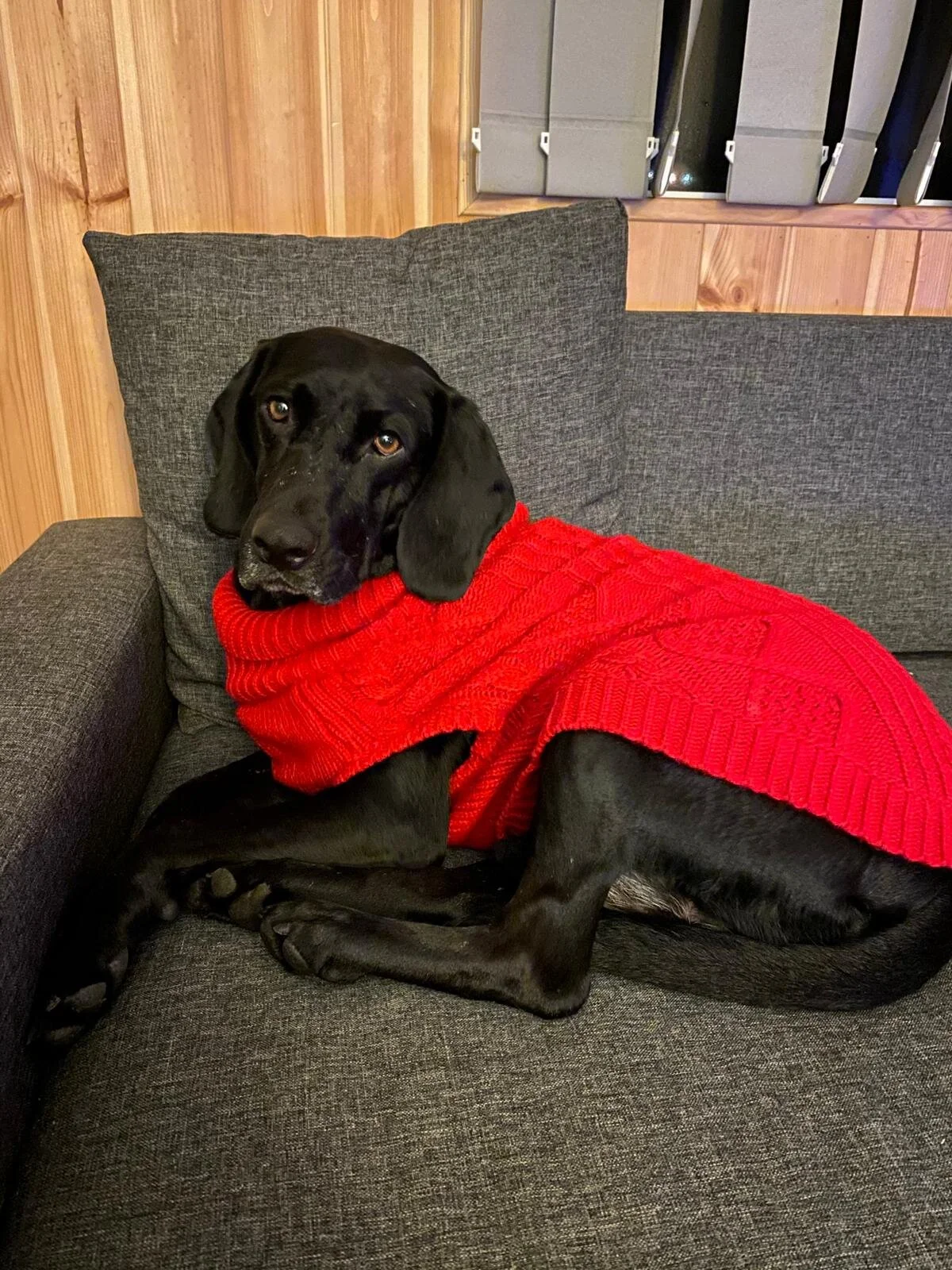 FAD4BFF6-2AD9-44C3-86B1-4A45B4507F43