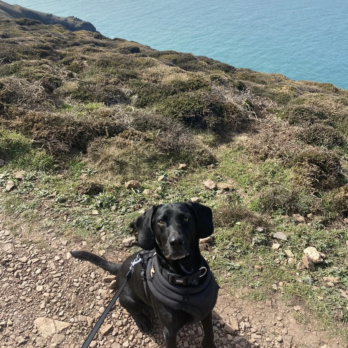 32D98729-14CF-428C-BA78-D817758A7B61