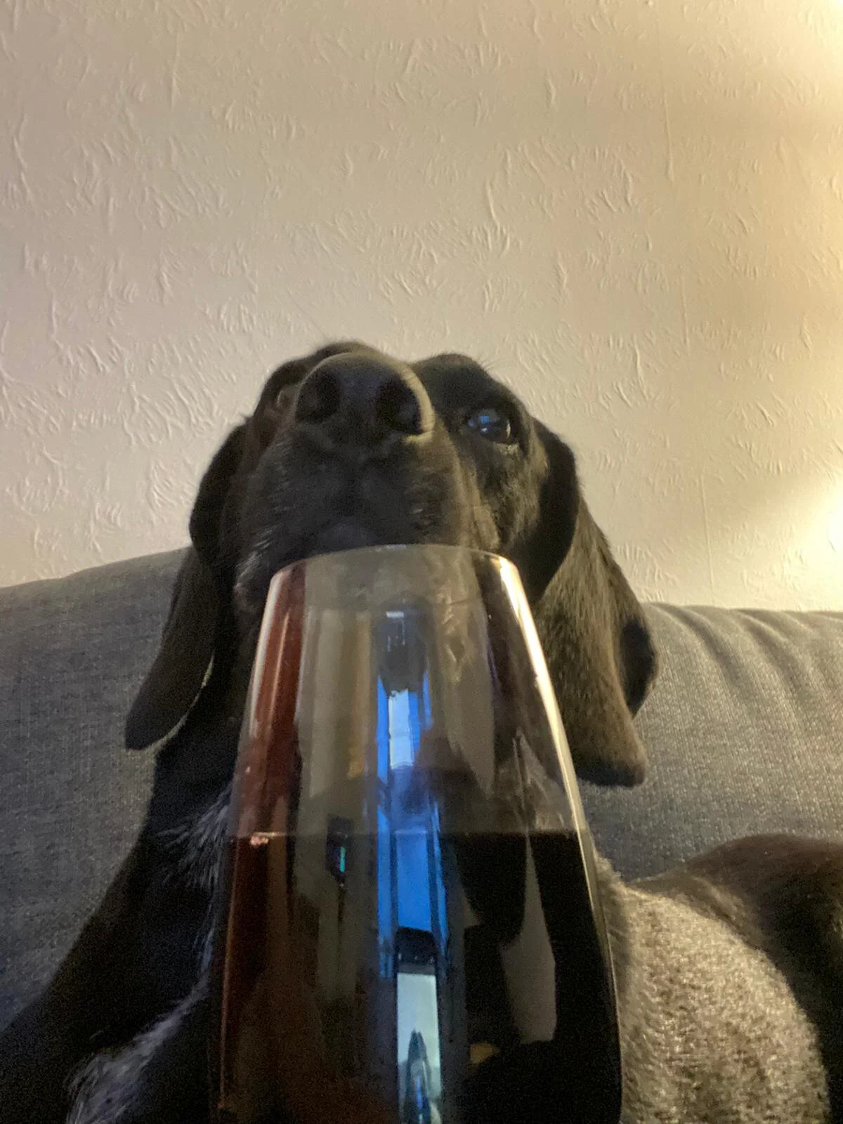 EF3A80B1-D423-44D7-83F1-C354707C61E2