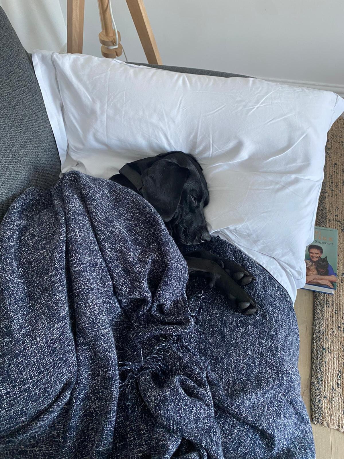 FC3133CC-5FEC-43B6-A0F5-3191D52C1111