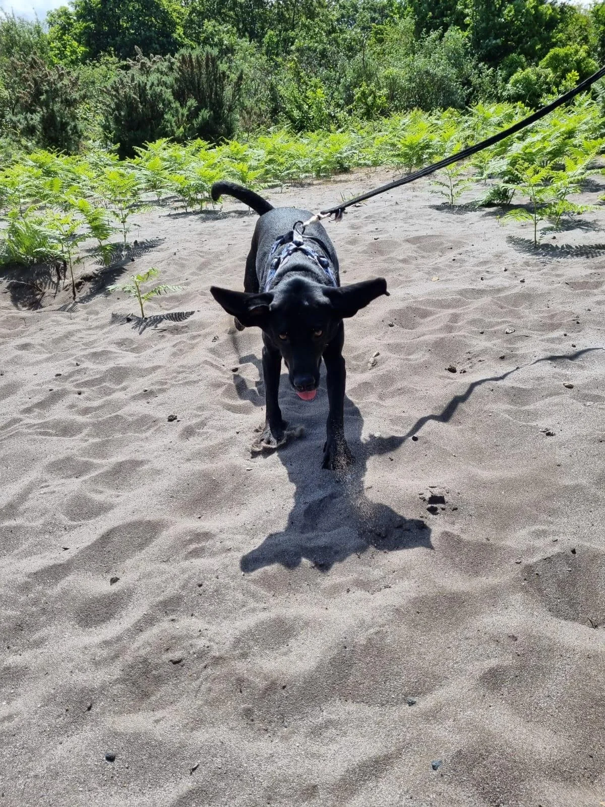 052C1F23-3C63-45B4-B1B8-08D6D167878B