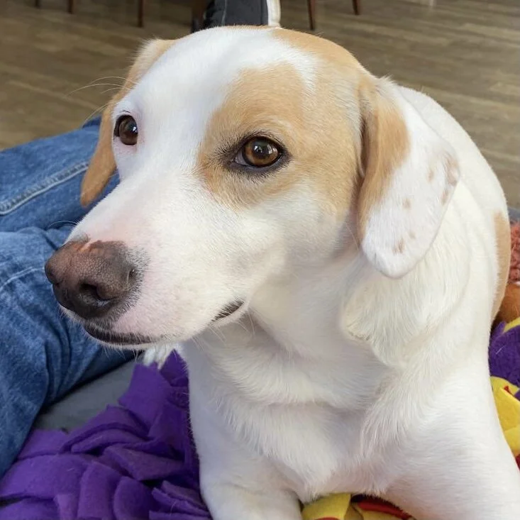 B899860D-B80B-448D-B732-AB7C86CB47B2