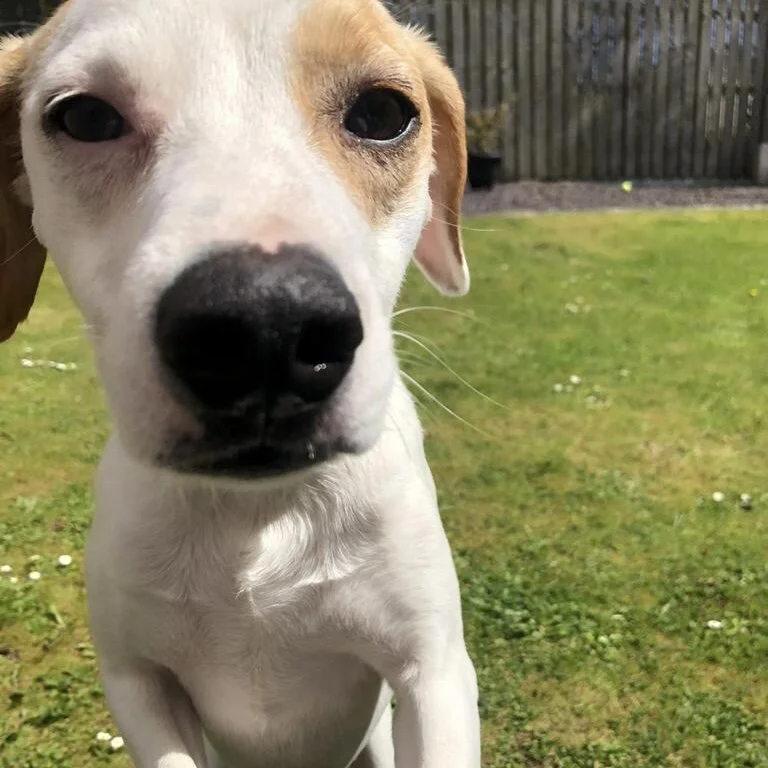 AB1CC1B6-637D-49DF-8197-476E7FDC8612