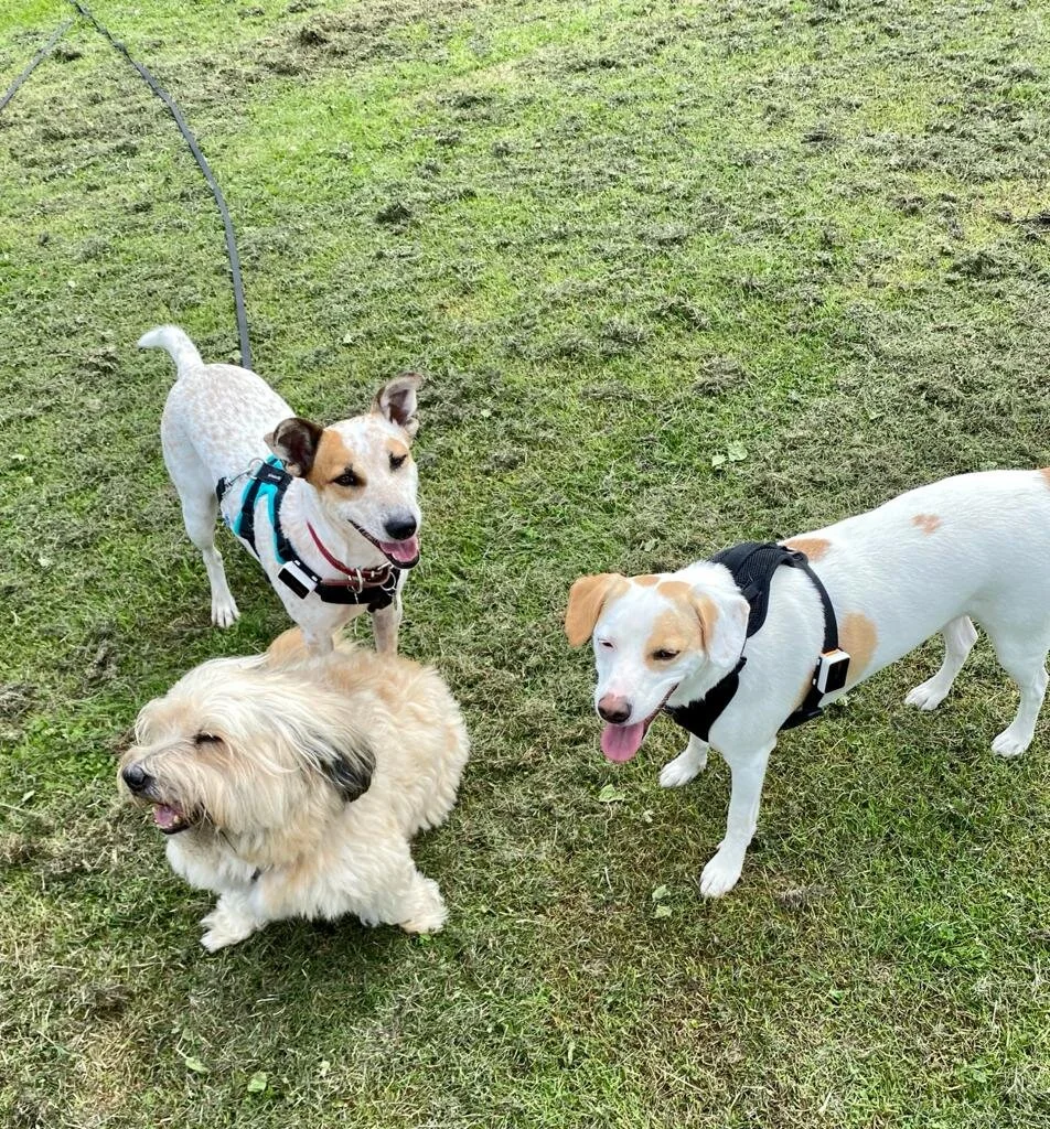 07D28BD1-DB66-4DA8-BA45-A86E5F07254D