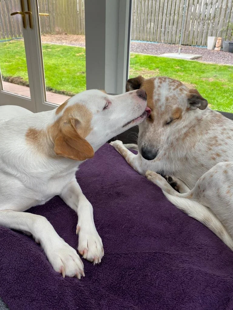 47E13B70-3F10-4838-AF76-A3249C60B325