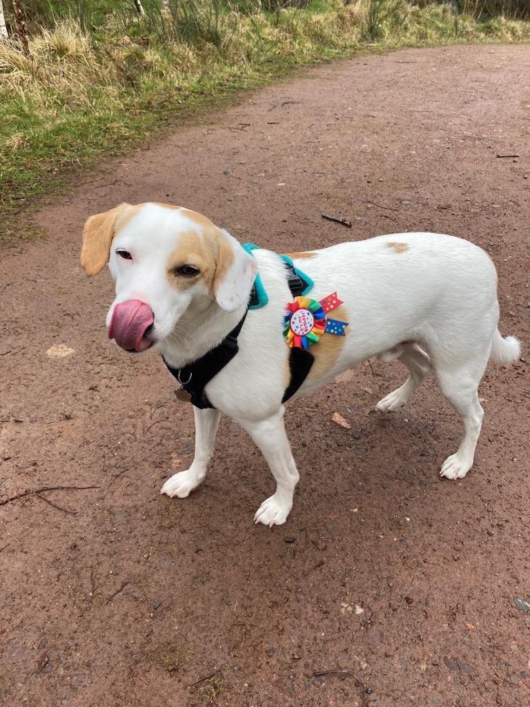 5CF2DE64-B338-40FC-9EDF-9277060AC005