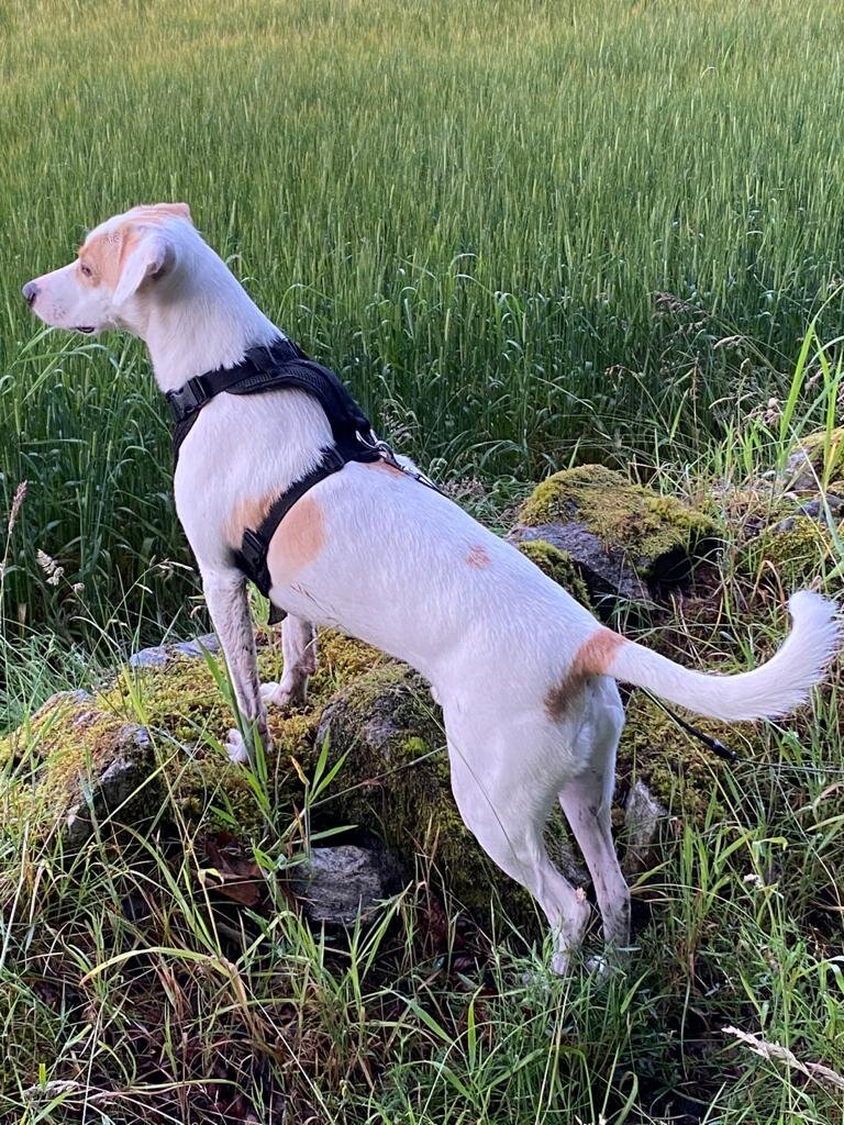 F227F4B7-512B-4109-B426-A187E0C068F0