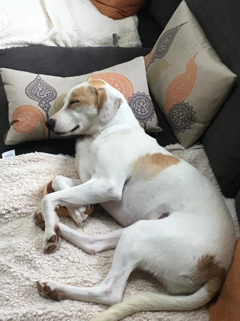 C0CE2C17-2EAD-4CBE-82FE-9977648D5467