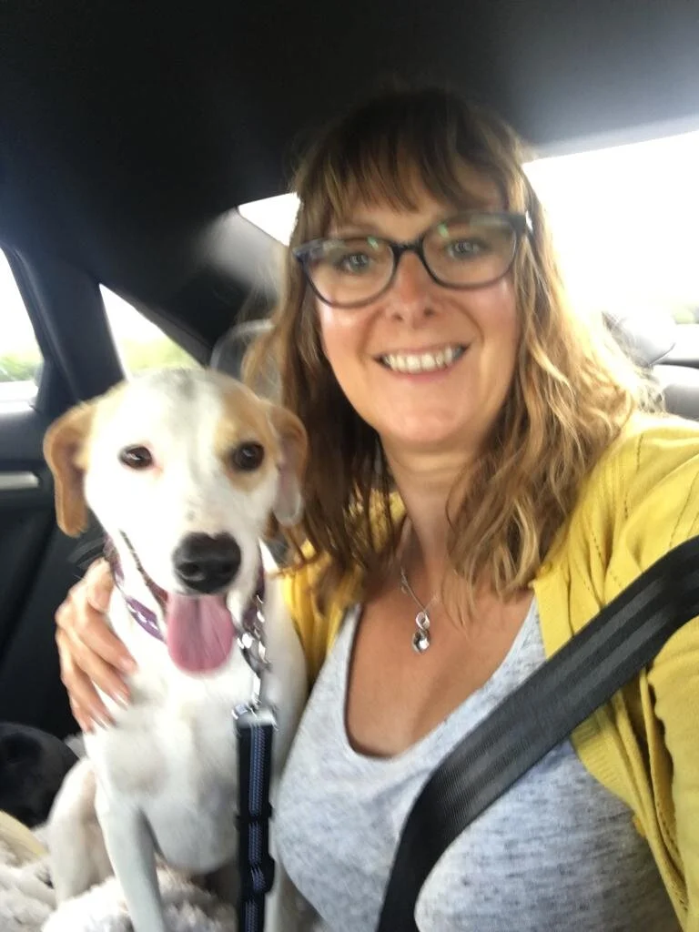 1D3E693A-2692-48FE-8DFC-C01860B3A2C2