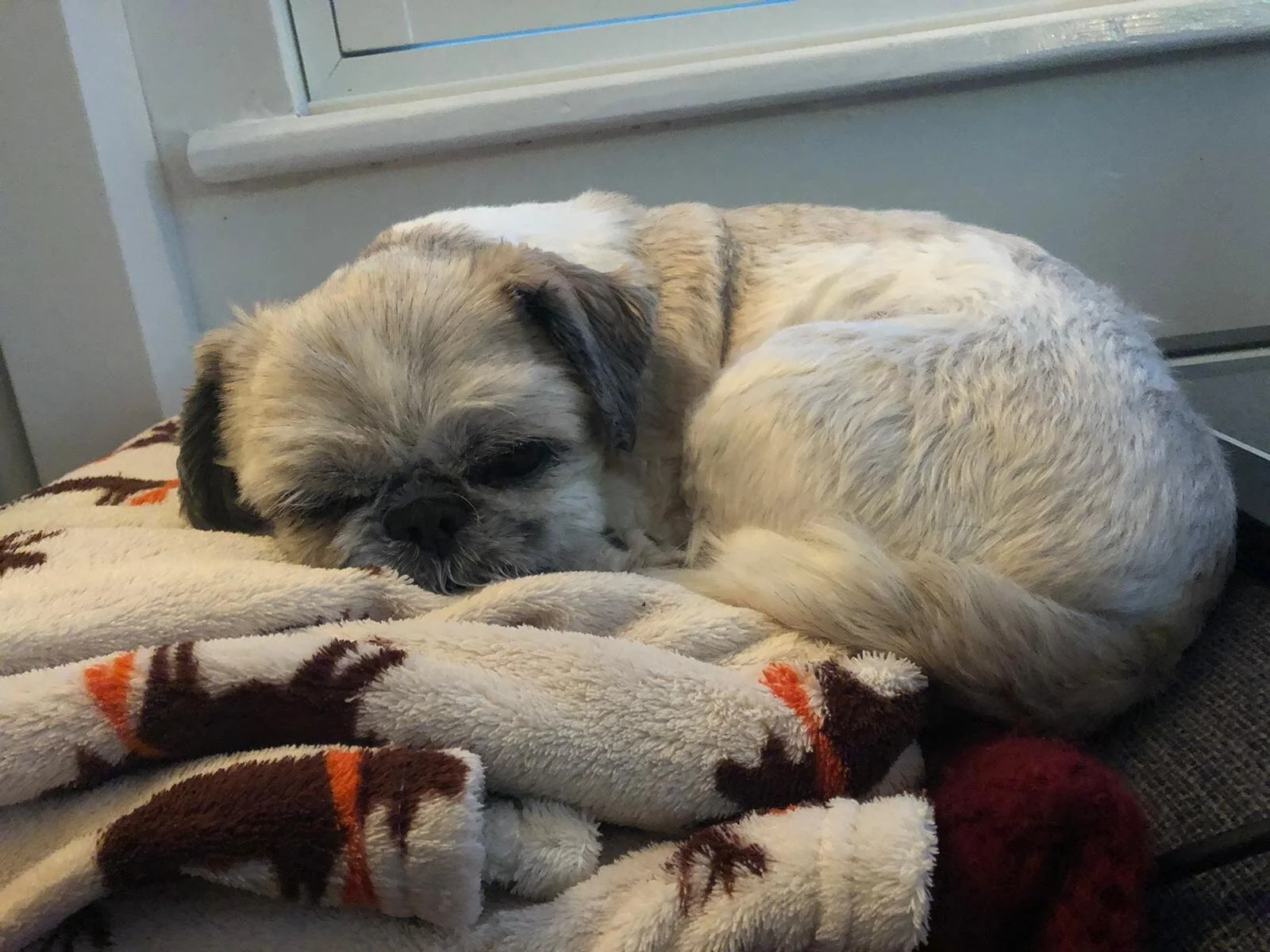 E0F48416-6B29-444A-9D49-A05551D62975