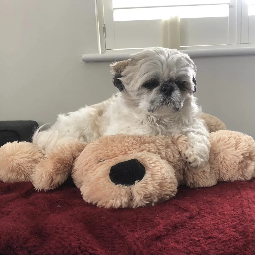 7777494C-79E7-4061-B51F-2192E17E0344