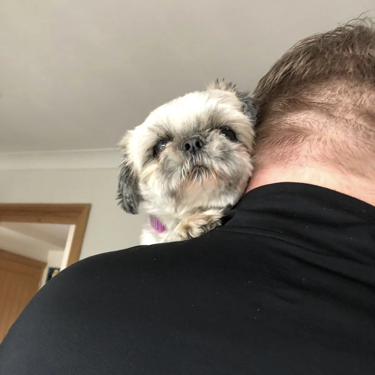 2F430F4B-D554-407A-BF44-D24ACD048E4D