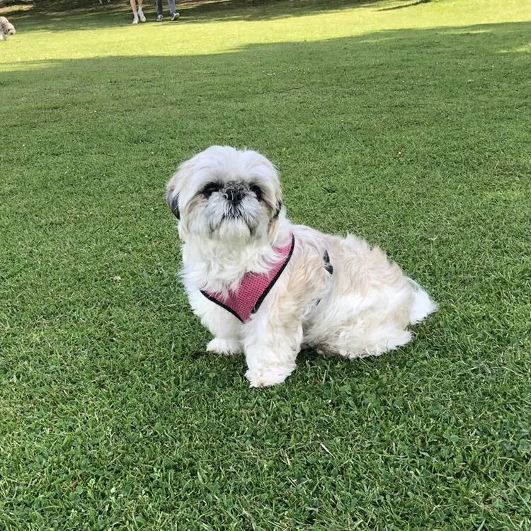 BB13F0A6-1077-442C-A60E-42FA8E996AEB